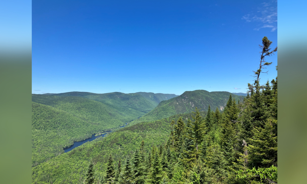 Vue du sommet d'une colline avec de petites montagnes boisées et un ciel d'un bleu éclatant